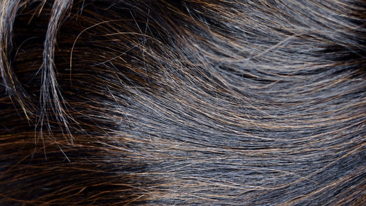 MOTOWN TRESS HBL.FREE40