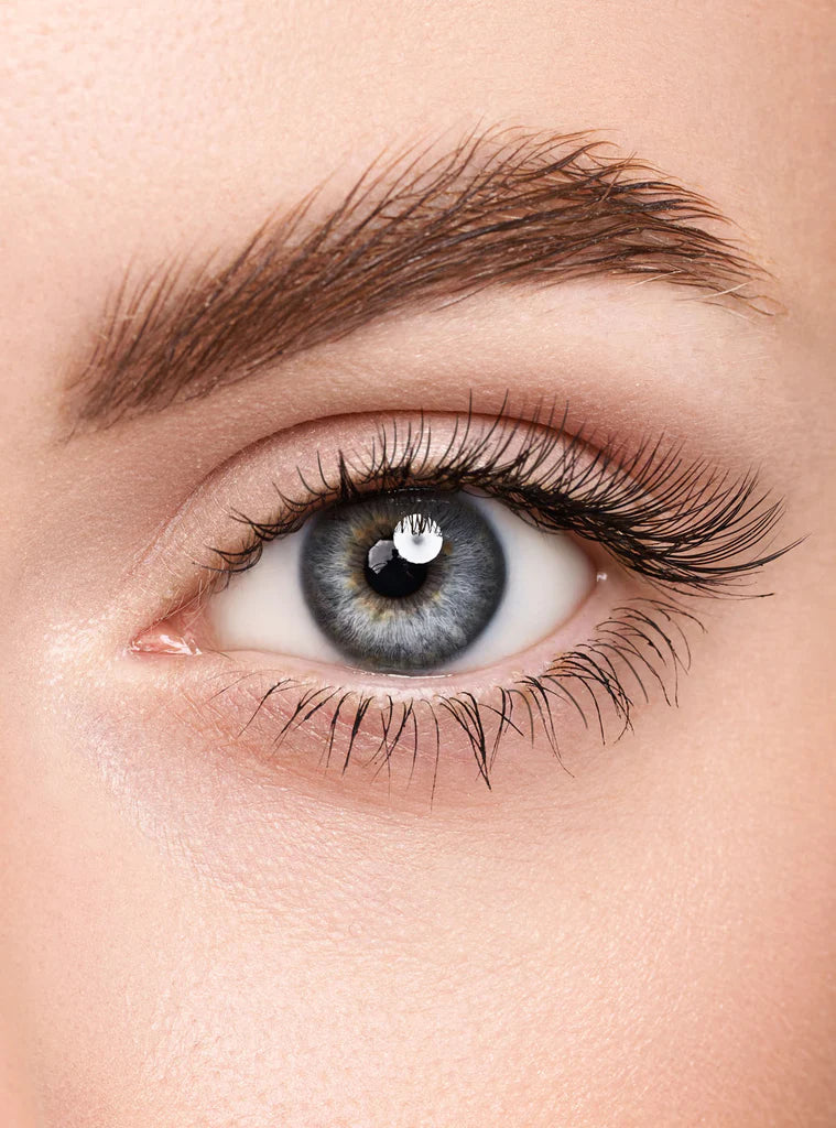 ABSOLUTE BROW GEL
