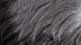 MOTOWN TRESS LDP-KONA