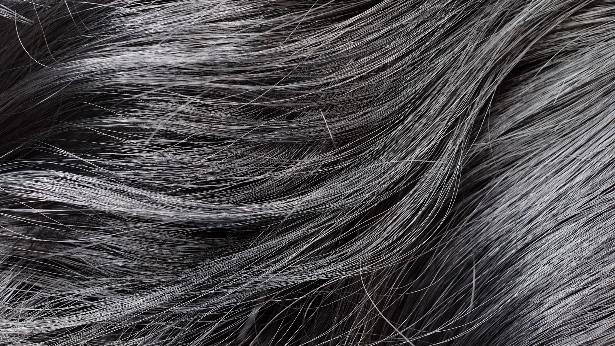 WANNABE GW-3222 SYNTHETIC WIG