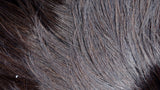 MOTOWN TRESS LDP-RALPH