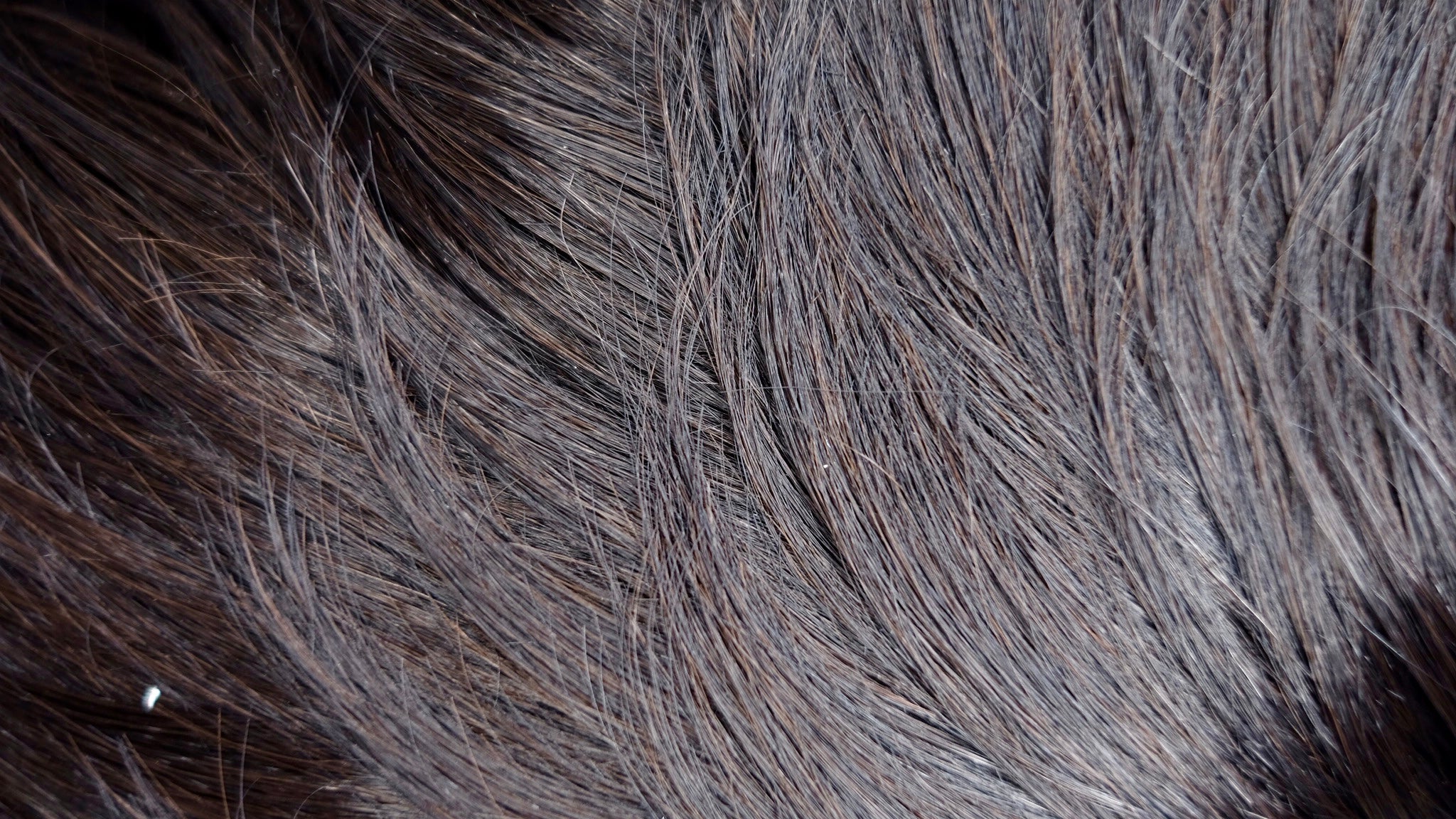 MOTOWN TRESS LDP-KONA