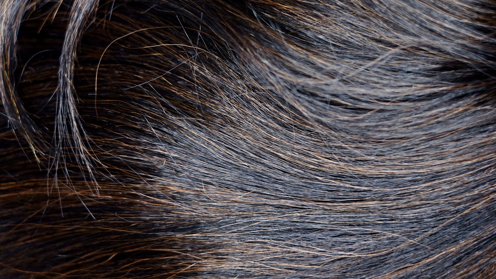 MOTOWN TRESS LDP-CURVE1