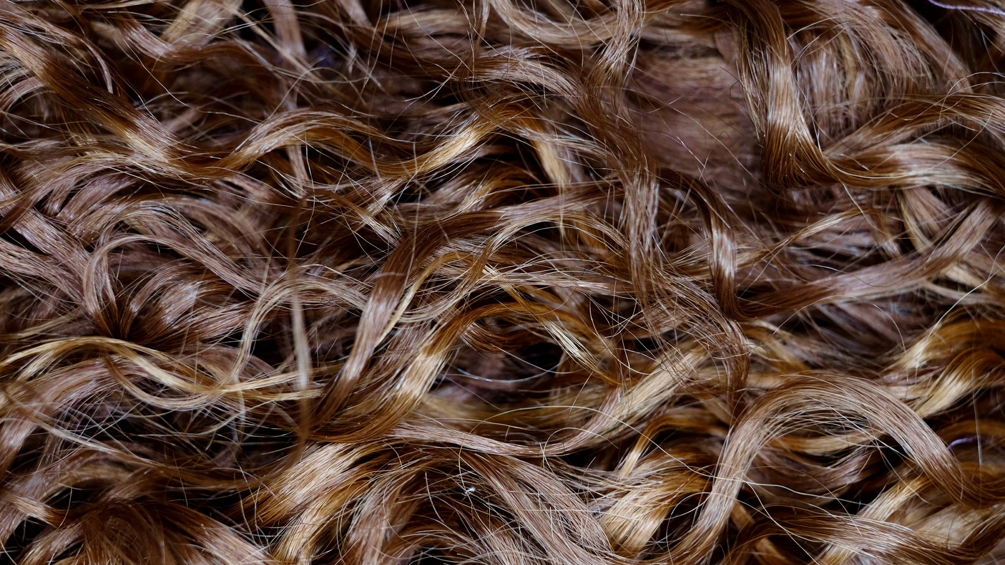 MOTOWN TRESS LDP-RALPH