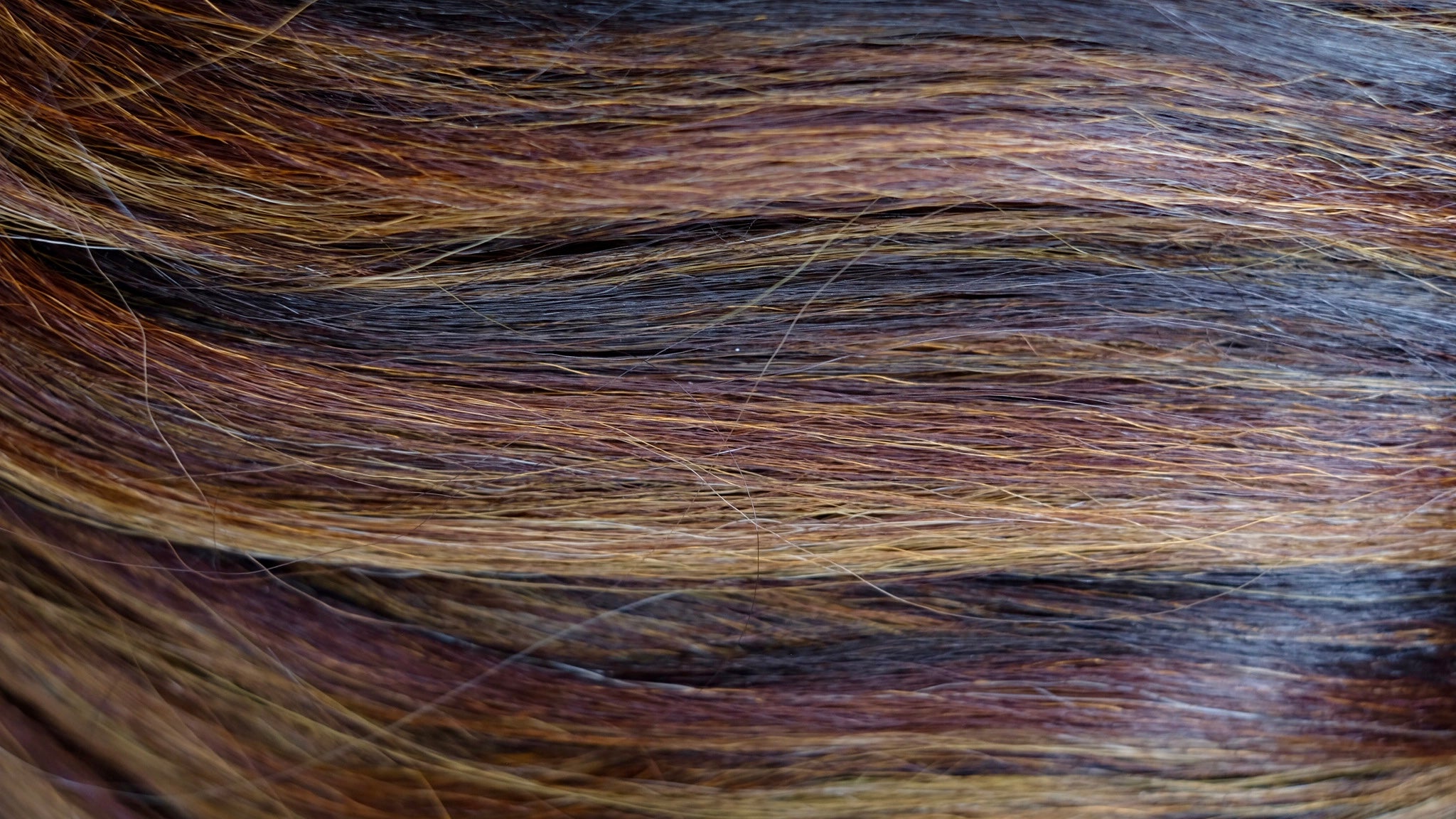 MOTOWN TRESS LDP-KONA