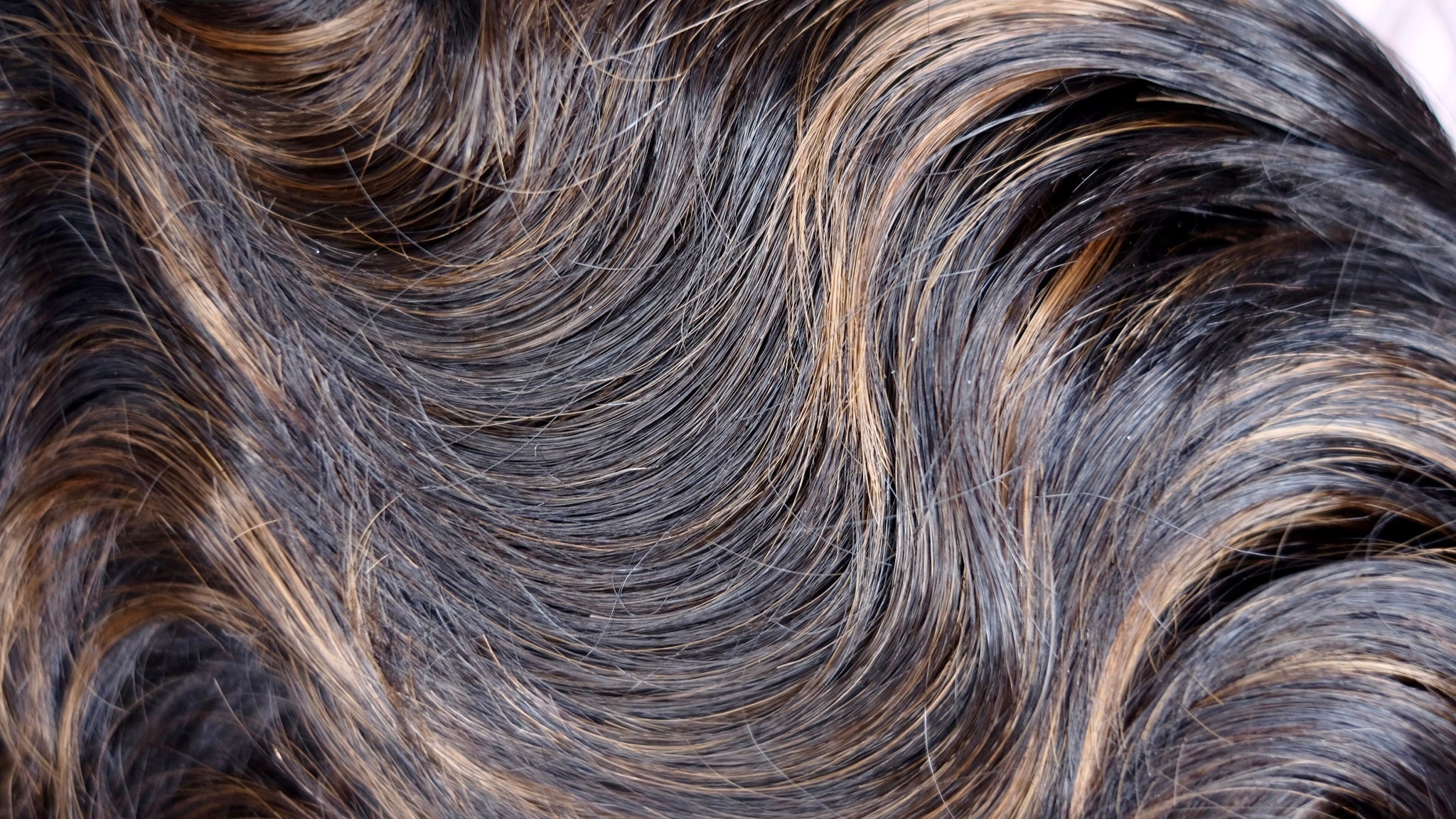 MOTOWN TRESS LDP-RALPH