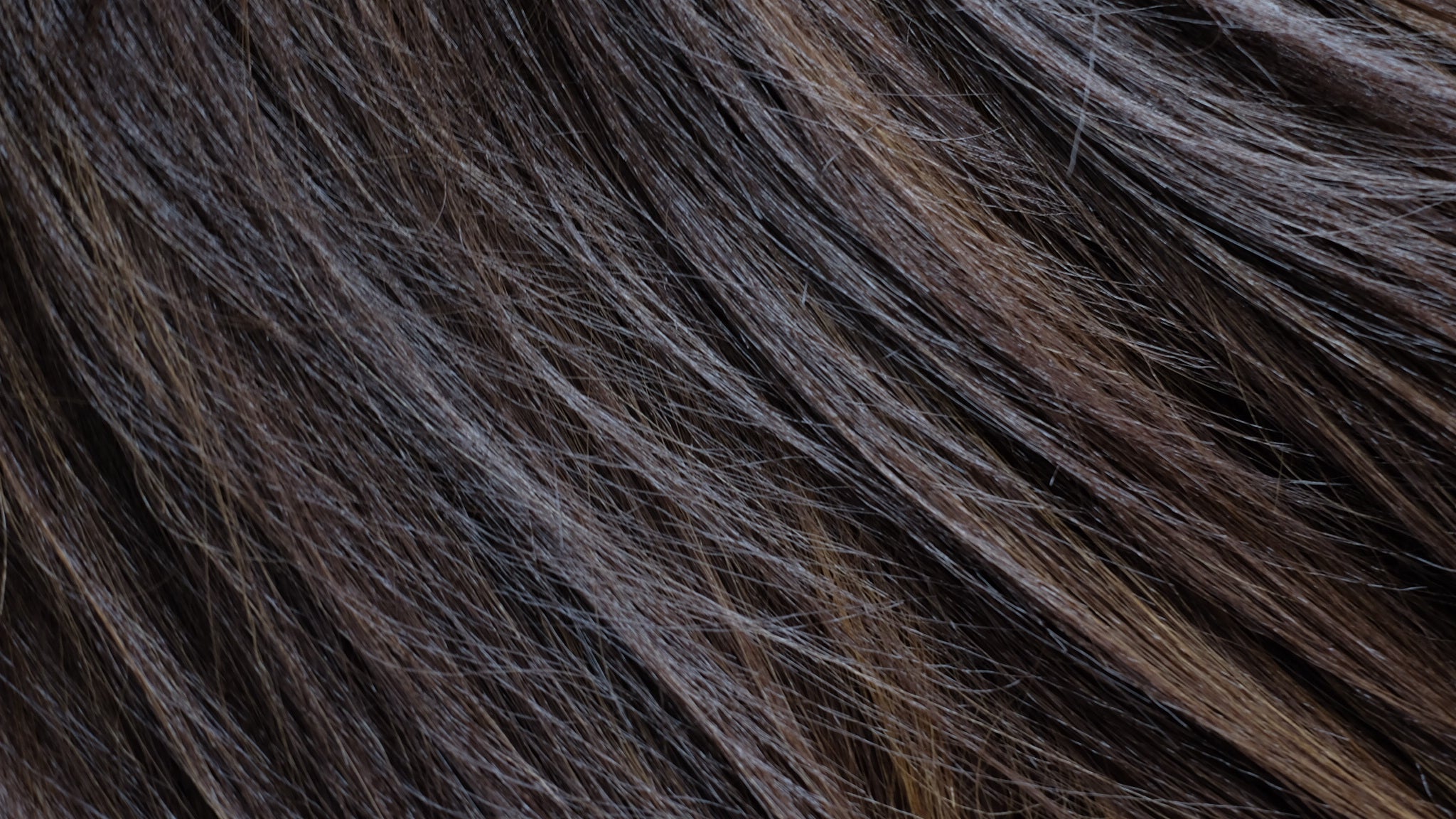 WANNABE GW-3222 SYNTHETIC WIG