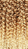 ZURY FRENCH CURL BRAID 6X