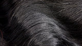 MOTOWN TRESS LDP-CURVE1