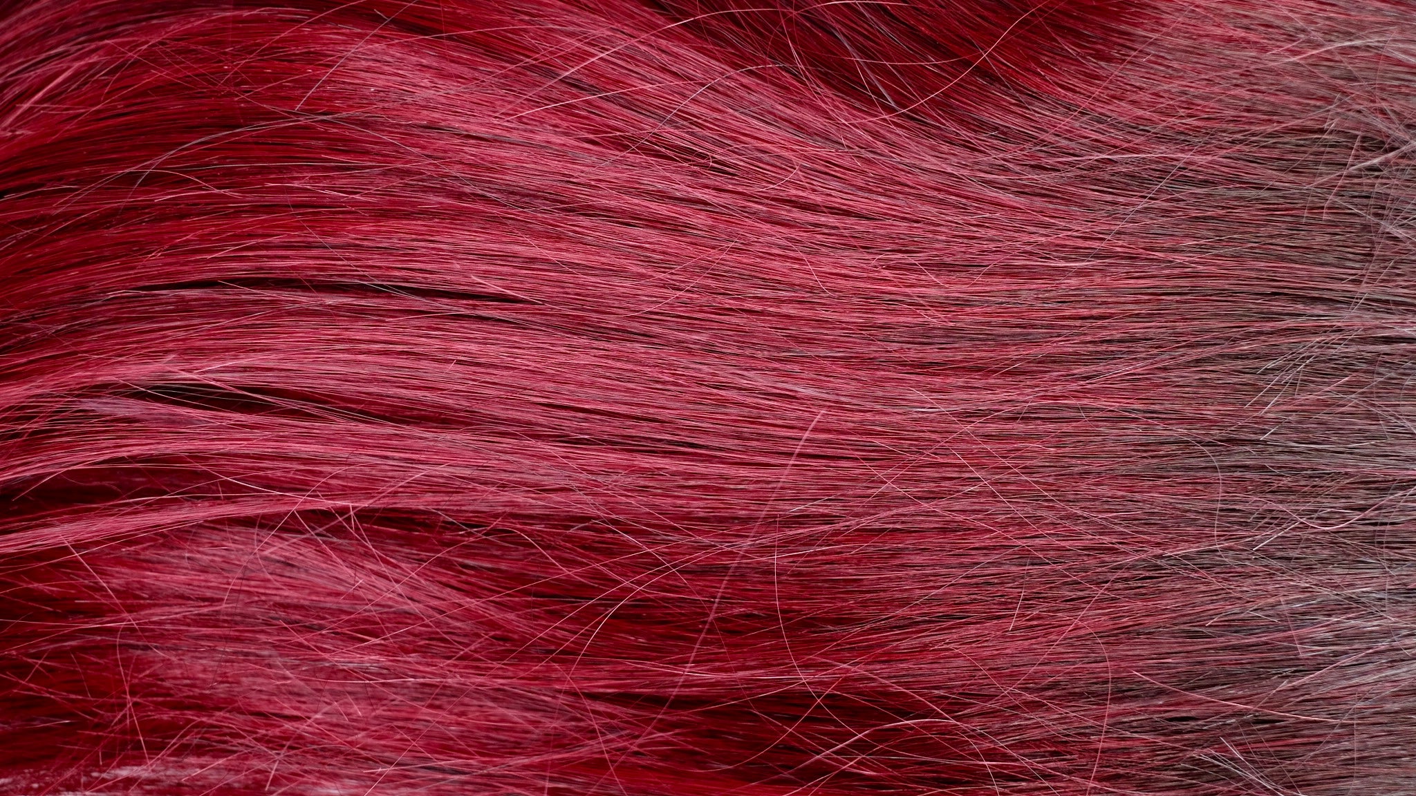 MOTOWN TRESS LDP-CURVE1