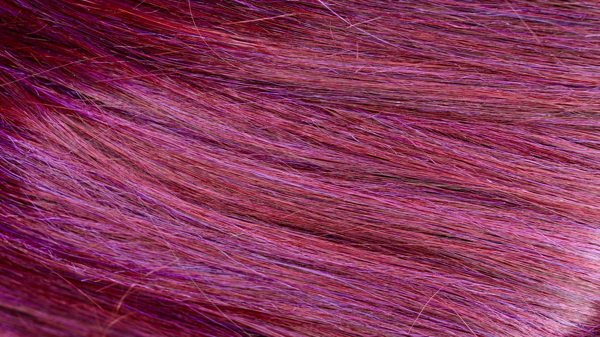 MOTOWN TRESS LDP-CURVE1