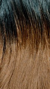 IT'S A WIG HH BBF U PART TAMIA