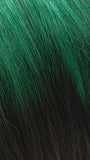ITS A WIG BFF LACE GARNET