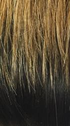 IT'S A WIG!  CYNDI