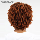 JANET NATURAL AFRO KANE WIG