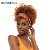 JANET NATURAL AFRO KANE WIG