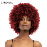 JANET NATURAL AFRO KANE WIG