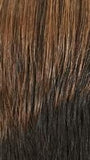 IT'S A WIG!  CYNDI