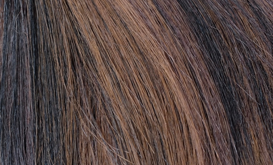 MODU MAPLE