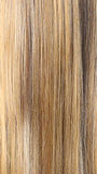JANET MELD HD 13X6 KENDALL WIG