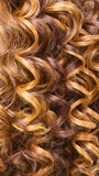 IT'S A WIG! LACE TRUDY