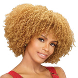 CREME OF NATURE HAIR COLOR