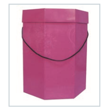 WIG BOX
