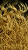 IT'S A WIG! SWISS LACE DELAWARE