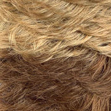 JANET NATURAL AFRO KANE WIG