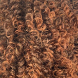 JANET NATURAL AFRO LEON WIG
